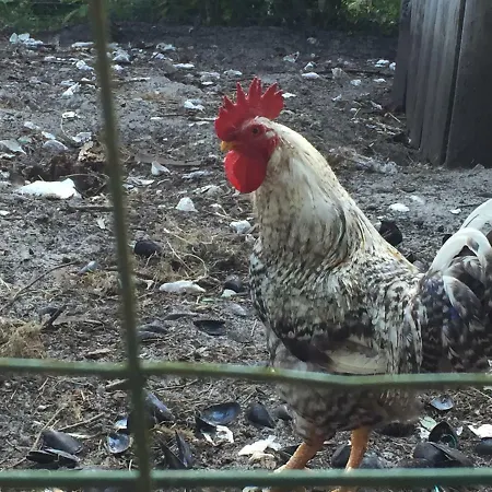 La Maison De Caroline Bed & Breakfast