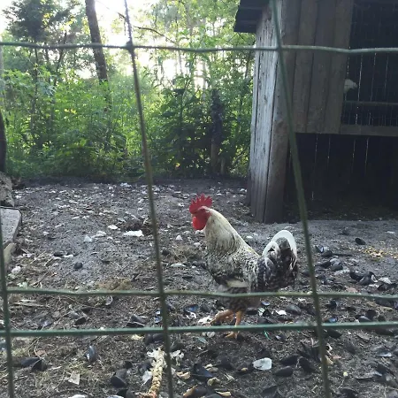 La Maison De Caroline * Marcheprime