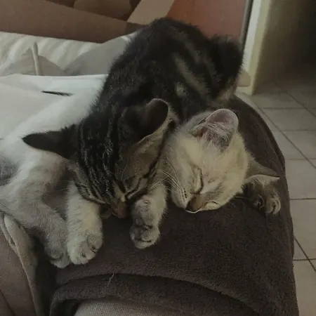 La Maison De Caroline Bed & Breakfast Marcheprime