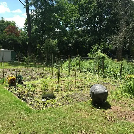 La Maison De Caroline