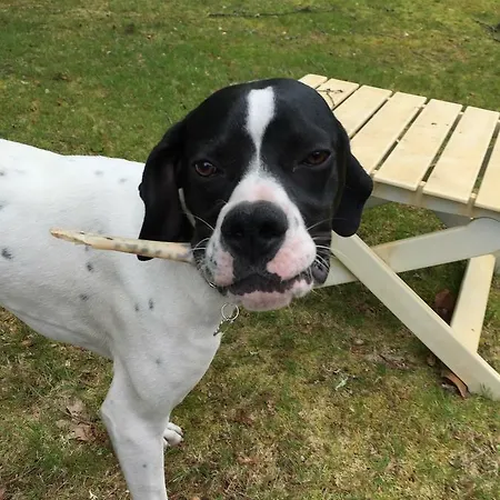 La Maison De Caroline Bed & Breakfast