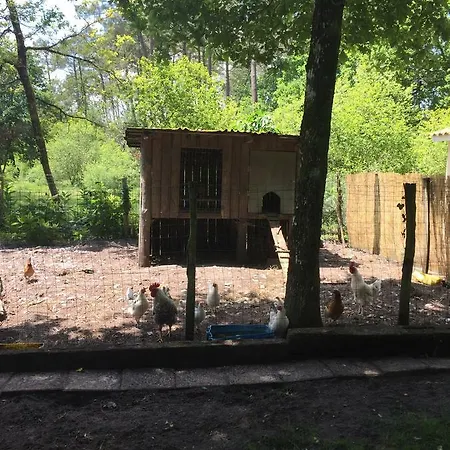 La Maison De Caroline Marcheprime