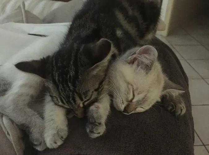 La Maison De Caroline Nocleg ze śniadaniem Marcheprime