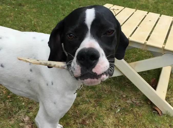 La Maison De Caroline Nocleg ze śniadaniem