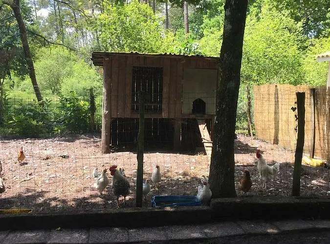 La Maison De Caroline Marcheprime